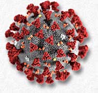 Coronavirus