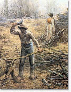Dessin de Jean François Millert recadré