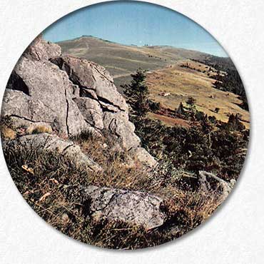 Monts du Forez