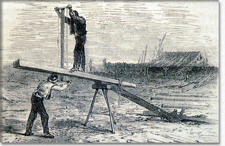 Détail d'une illustration de La grande histoire des scieurs de long d'Annie Arnoult