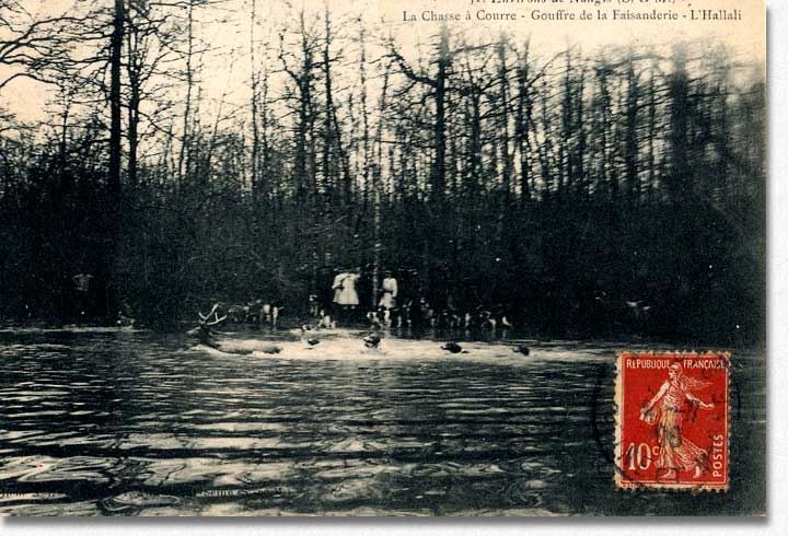 Chasse à courre en forêt de Villefermoy