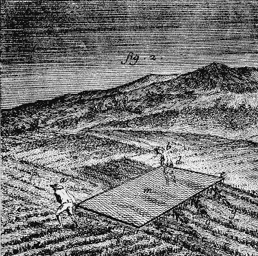 Planche de l'Enyclopédie