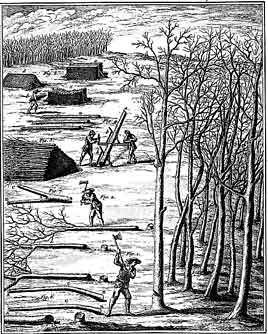 planche de Duhamel du Monceau