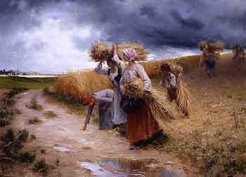 Laugée: à l'approche du grain