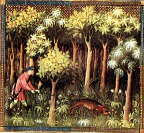 le livre de chasse de Gaston Phebus