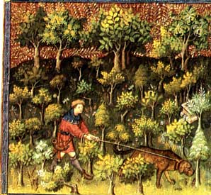 le livre de chasse de Gaston Phebus