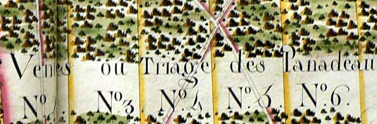 Atlas de la forêt de Barbeau 1774